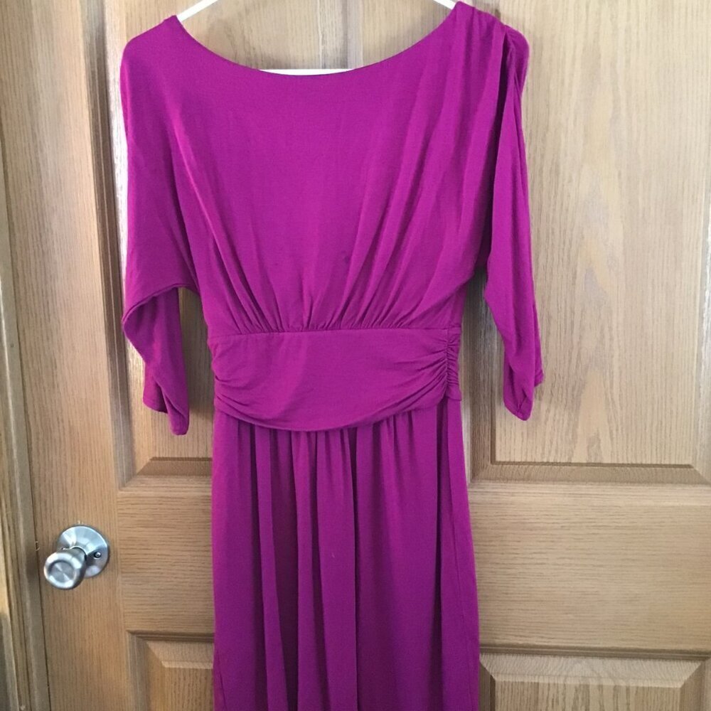Express Dress - Picture 2 of 2